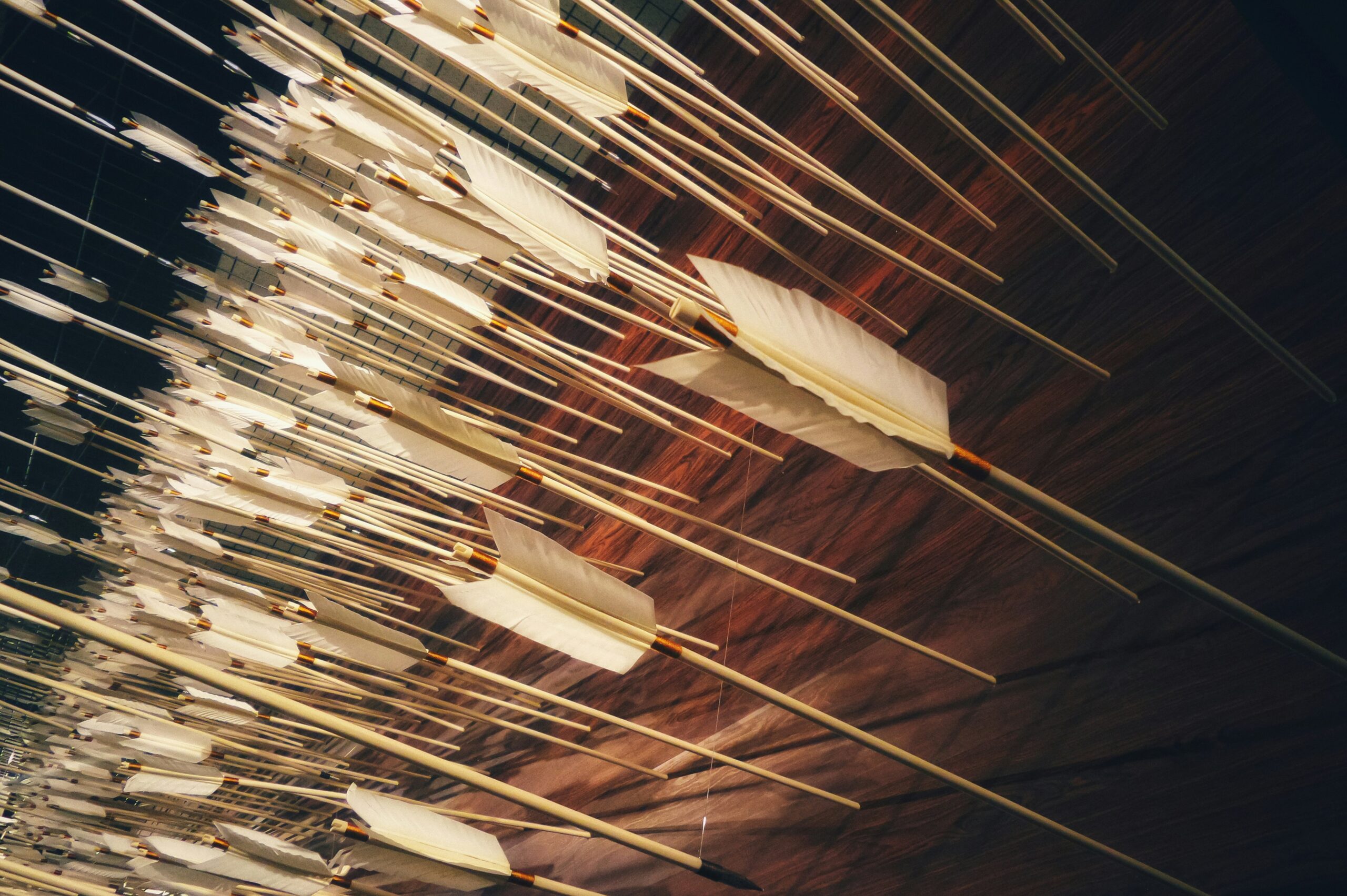 A creative art installation resembles a well-executed sales plan, featuring numerous arrows with white fletching. Each arrow is suspended at various angles against a wooden backdrop, creating a dynamic and visually striking pattern that captures attention instantly.