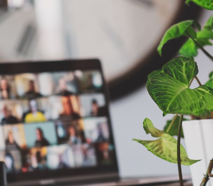 A laptop shows a blurred Zoom meeting with multiple participants. In the foreground, a green houseplant with large leaves is in focus, partially obscuring the screen. A wall clock is visible in the background.