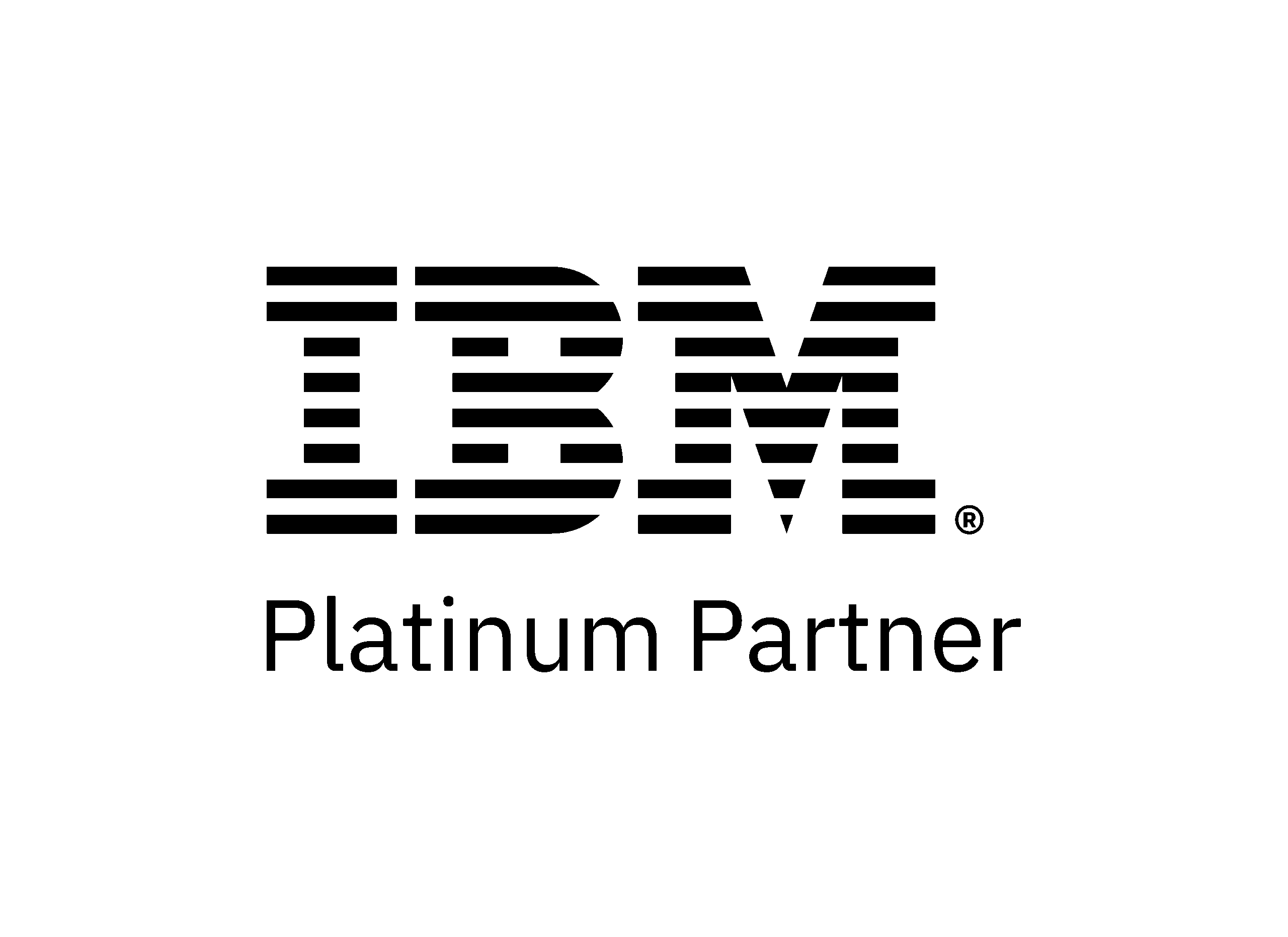 The image shows the IBM logo in bold, black horizontal stripes above the words Platinum Partner on a light gray background.